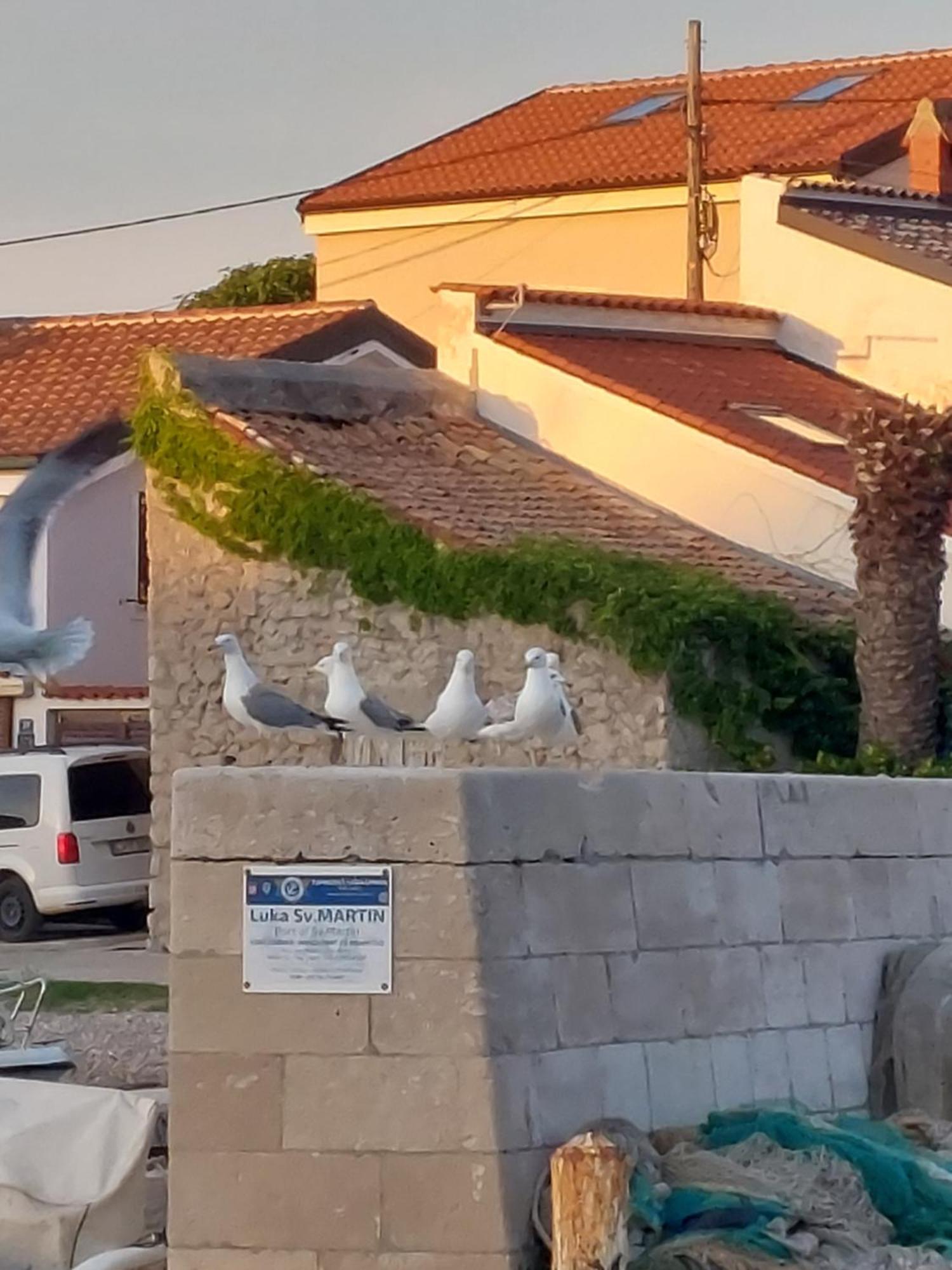 Apartments Suncica Mali Lošinj Esterno foto
